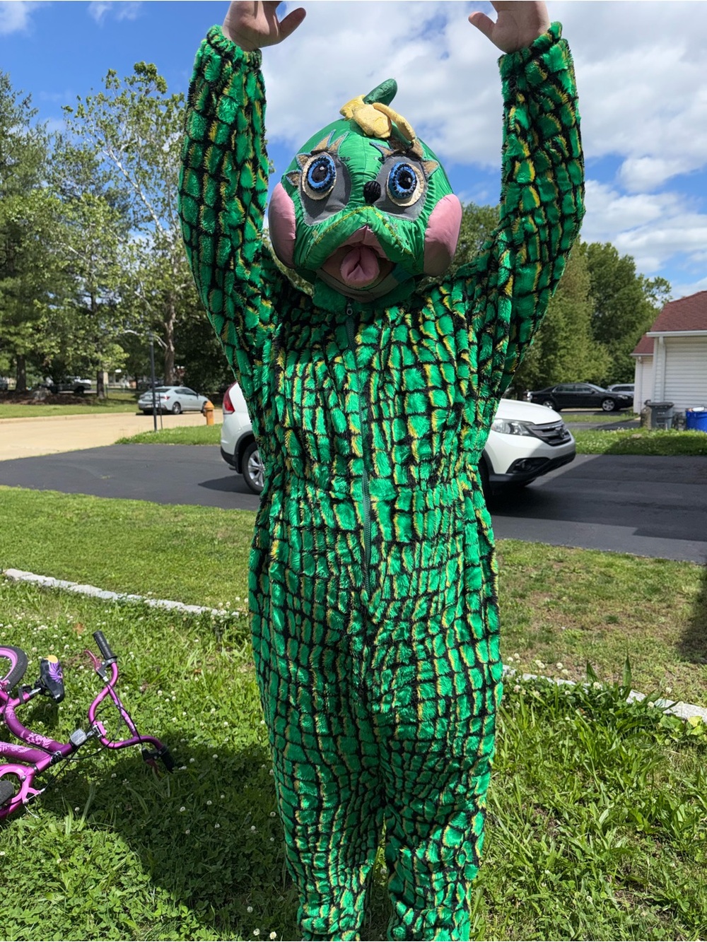 Green Reptile Costume Suit for Pets Reptile Enthusiasts